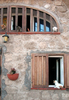 Dogs and cats: Dogs and cats appear at windows of a house in Ventotene isle (Italy)