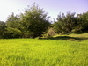 parayan (rice field): no description