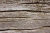 old wood ...: ... texture