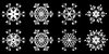 Floral Snowflakes: Floral Snowflakes on the black background