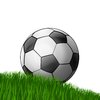 Football 2: Football on the grass - white background