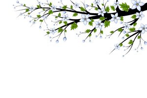 Blue Flowers Branch: Branch with blue flowers on a white background