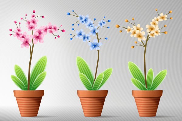 Flowers in Pot 6: Colorful flowers in a pot on the gray-white or blue-white background