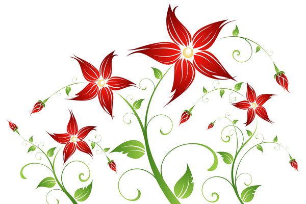 Spring Floral: Green floral with red flowers on the white/green/gray background