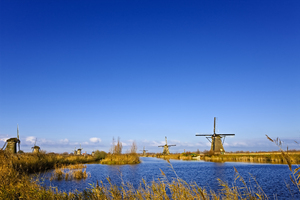 Molinos de viento holandeses: 