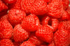 raspberries: no description