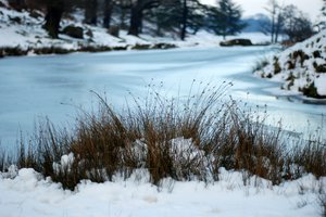 gefrorenem Flussufer 2: 