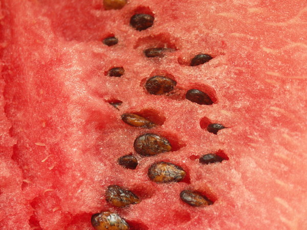 Fruits - melon: Watermelon. Other fruits also in the series.