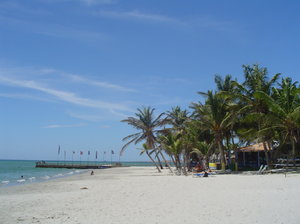 margarita eiland palmen: 