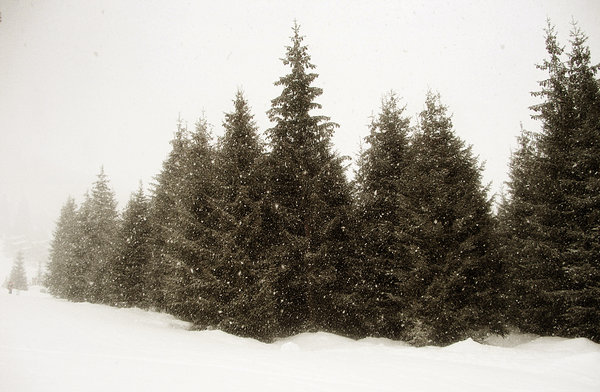 snowstorm: austria