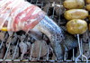 BBQ 2: Fisch on a grill