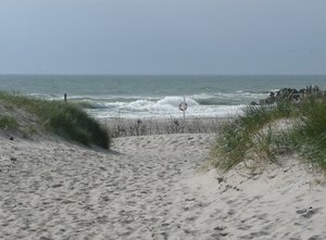 Way to the Beach: Way through the dunes