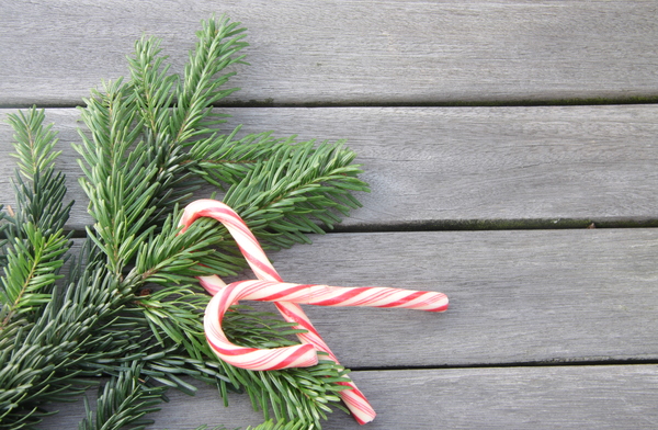 Christmas candy canes: Candy canes and a branch of a fir on wooden ground