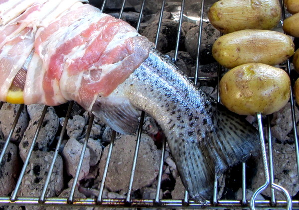 BBQ 2: Fisch on a grill