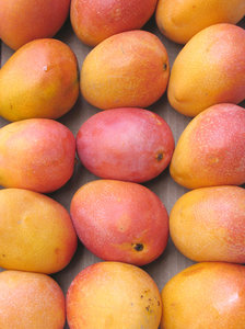 Mango's: 