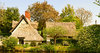 Thatched Cottage: Old English thatched cottage.