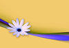 Flower and Ribbon abstract: Flower and Ribbon abstract. The usual wallpaper stuff