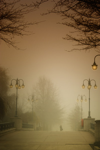 A walk in the mist: Young lady on a bridge in the morning mist