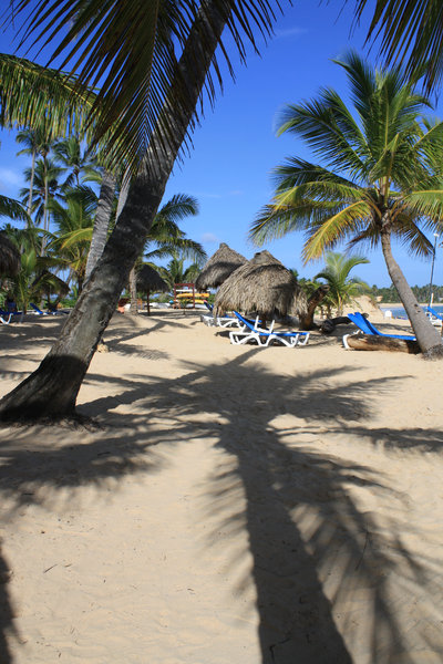 Caribbean Dreams: Beach shots from the Dominican Republic
