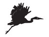 Silhouette Heron Flying: 