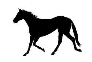 horse silhouette: 