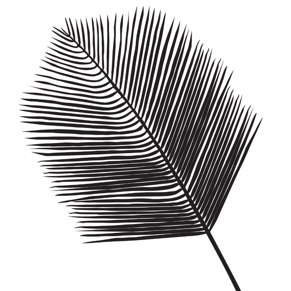 Silhouette Leaf: a palm leaf, black on white