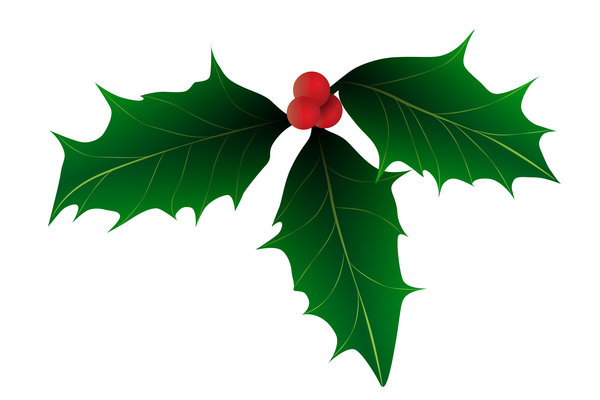 Christmas Holly: a decorative illustration of holly with bright red berries