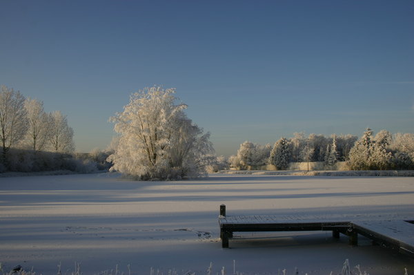 Winter: Wintertree