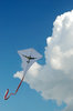 Kite 2: Kite with british bomber shape in the sky