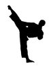Karate 3: Silhouette of fighter