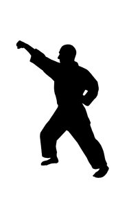 Karate 5: Silhouette of fighter