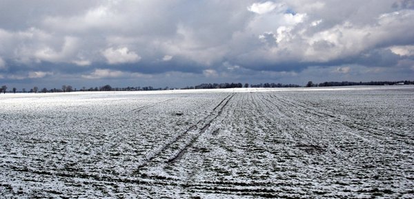 Rural winter panorame 3: Panoramic with clouds and snow-------------------------- ---Please, send me an e-mail if you want to use my photos.-------------------------- ---I like to see what becomes of one of my photos. Please send me by e-mail copy of final work or link to web sit