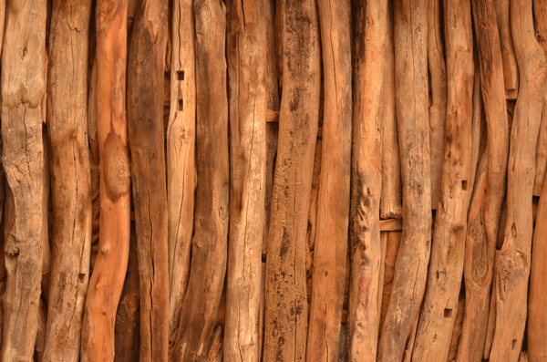Wooden logs: Decaying wooden logs placed parallel to each other; used as support on the ceiling of a fort in Rajasthan, India.