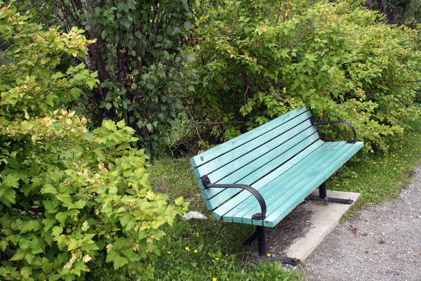 Free Stock Photos Rgbstock Free Stock Images Bench In A Park