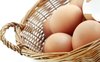 eggs in basket: eggs in basket