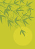 Bamboo: oriental background