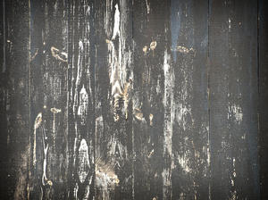 texture 14: Texture number 14:  an old farmhouse in an abandoned part of the netherlands