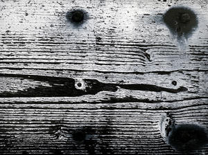 grunge: holidays 2008: grungy old wood I found at the Dutch shore.