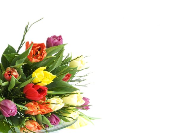 flowers: flower bouquet  with lots of copyspace