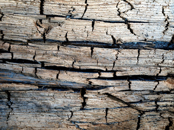 cracked wood: old cracked wood I found in a old windmill