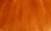 wood texture 1: Harwood floor texture 