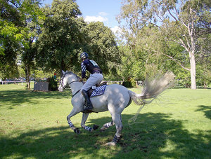 Cross Country 1: Adelaide International Horse Trials 2005