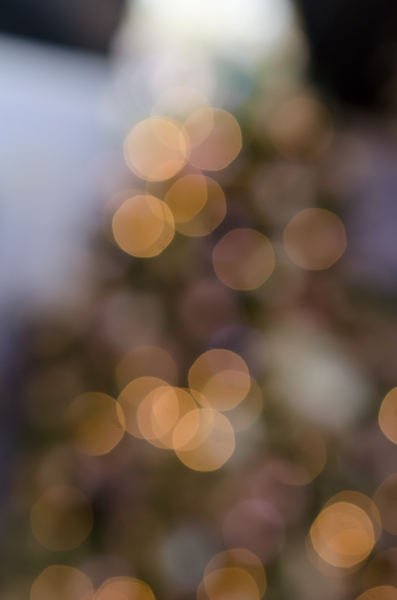 Christmas Tree Bokeh: xmasphoto2015 Out of focus lighted tree .