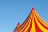 Circus tent top: 