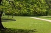 Park in spring colors: Park in spring with the clear green colors