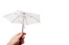 Holding small white umbrella: Hand holdning small white umbrealla (used for flash) isolated from the white background