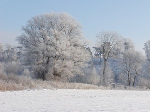 Blanco invierno 1: 