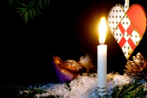 Christmas tree with bird: Christmas tree with burning candle, cone, heart and a small decoration bird on snow. Black background.