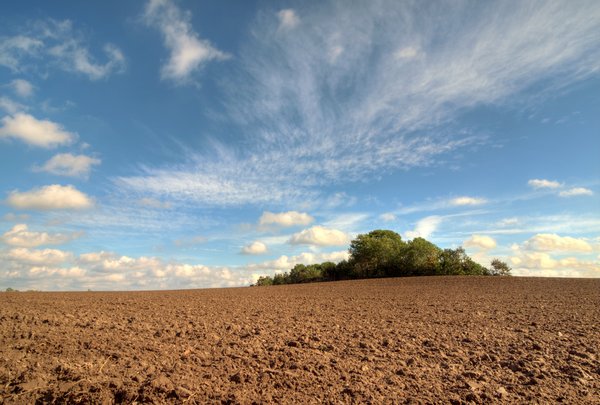 Autumn field - HDR: Autumn field with bare soil, blue sky, green trees and white clouds. The image is HDR.