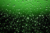 abstract in green: green gradient drops